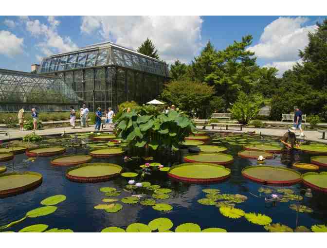 Gardens, Art, Treats and Trackless Trails. . .a Brandywine Valley Family Adventure