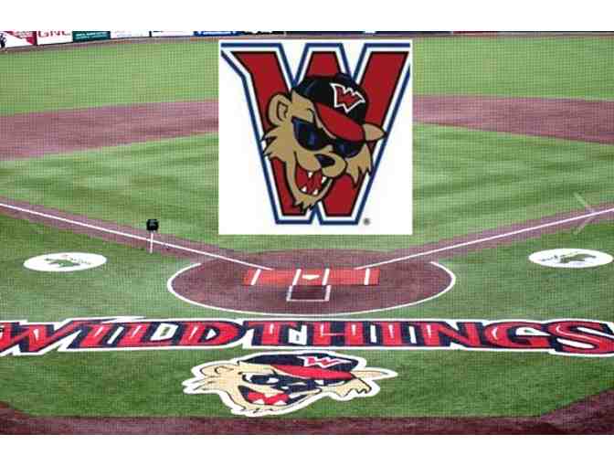 Baseball Outing for Four with the Washington Wild Things!