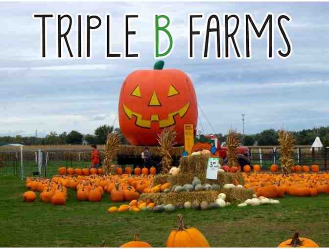 Triple B Farms - Family Fun at the Apple & Pumpkin Festival