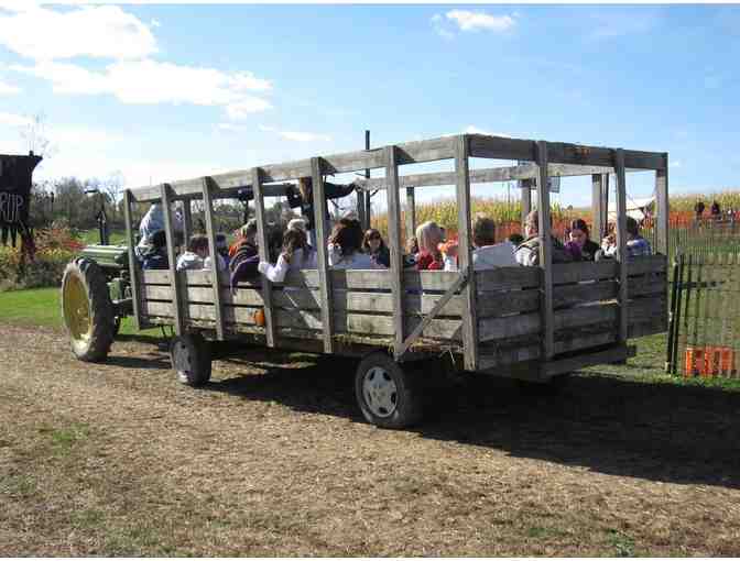 A Day of Endless Farm Fun . . . at Pumpkin Patch Playland!