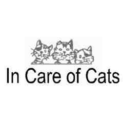 In Care of Cats & Others