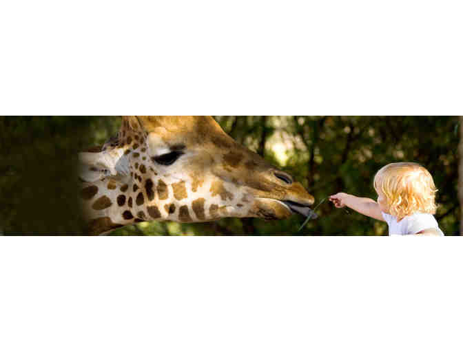 Sacramento Zoo Family Pass