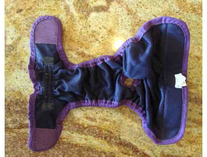 Pre-Owned Purple Panties -- Small
