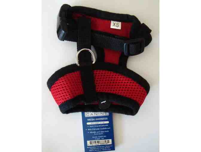 Red Casual Canine Harness -- XS -- New