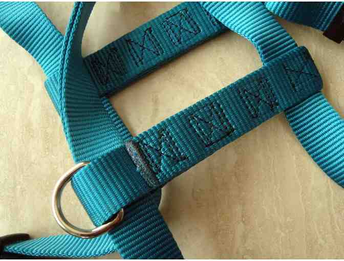 X-Large Dark Teal Harness -- Pre-Owned