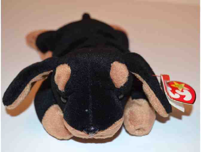 TY Beanie Baby 'Doby' the Dog -- Pre-Owned