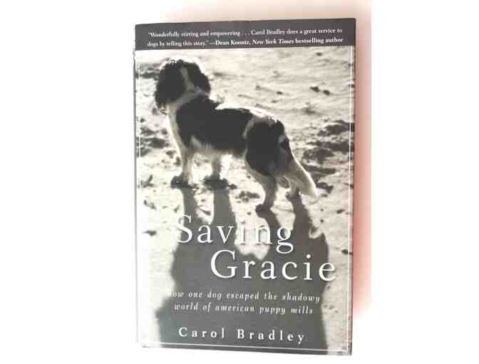 'Saving Gracie' by Carol Bradley -- New