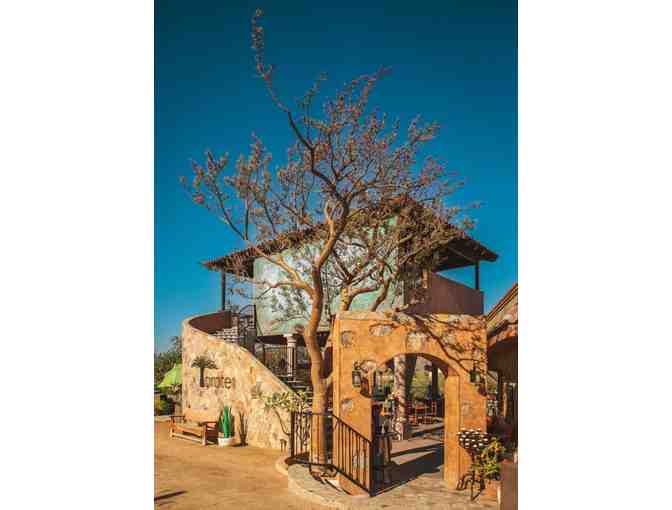 Brunch for two at Torote Restaurant, Cabo San Lucas (cert.1) - Photo 2