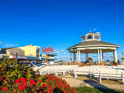 Rehoboth Beach Vacation