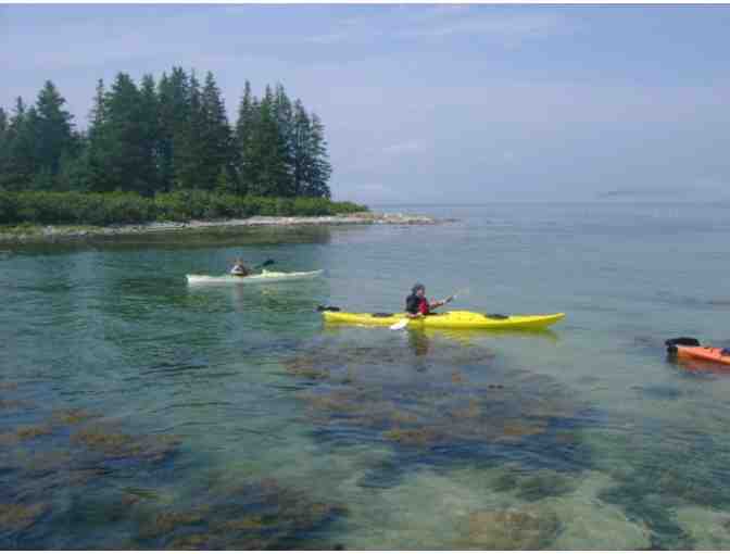 Port Clyde Kayaks - 1 Kayak Tour