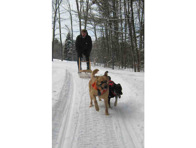 Two Dog Sleds w/ Fitting Asisstance by Mainely Dogs