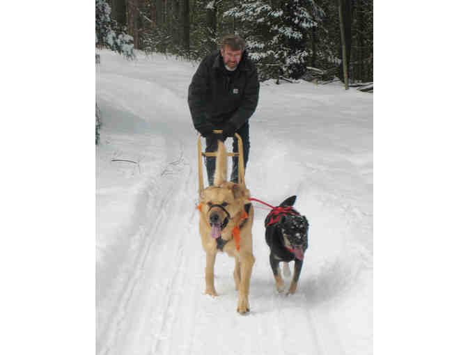 Two Dog Sleds w/ Fitting Asisstance by Mainely Dogs