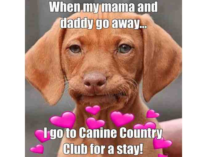 Canine Country Club 1 Free Night w/Purchase of 2 Nights