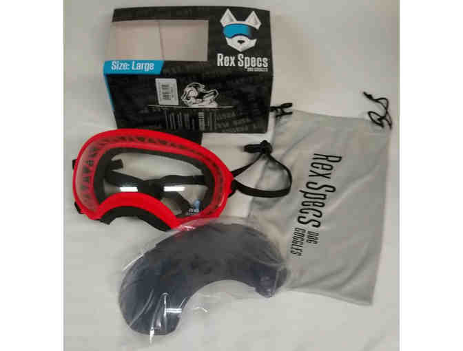 Rex Specs Size Large