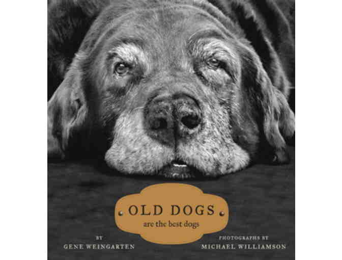 Book - Old Dogs Are The Best Dogs