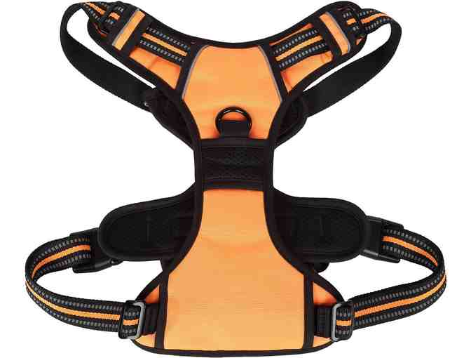Dog Harness by Elite Field - Size Small