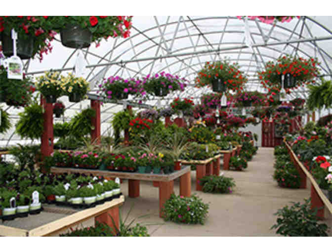 Plants Unlimited $50 Gift Certificate