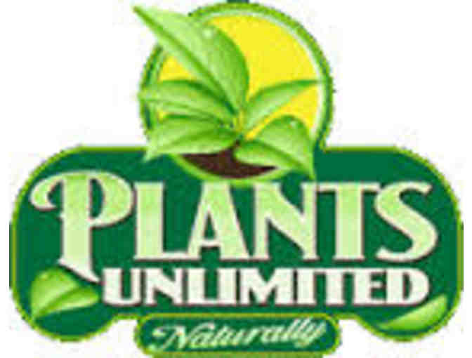 Plants Unlimited $50 Gift Certificate