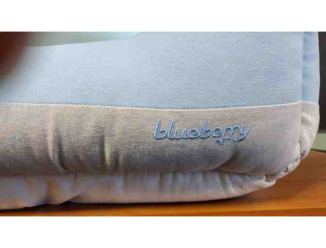Pet bed by Blueberry Pet