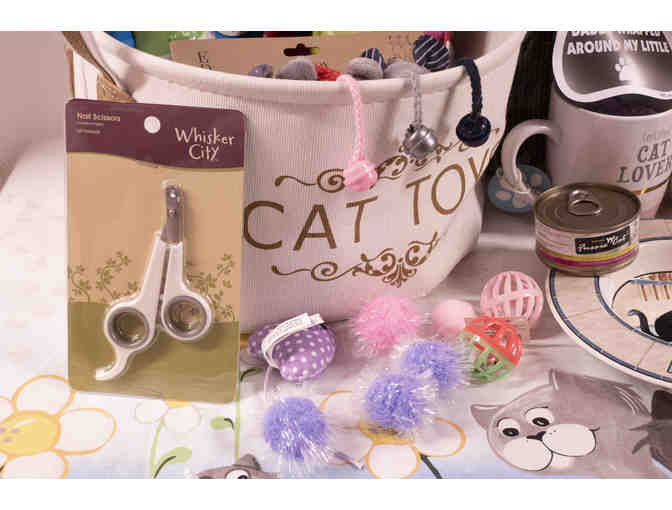 'Cats Meow' Cat Package