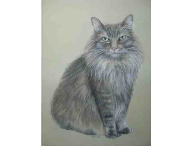 Portrait of YOUR Pet in Pastels by Artist Gail Fairbanks