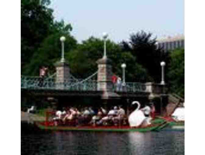 Ride the Swan Boats of Boston!