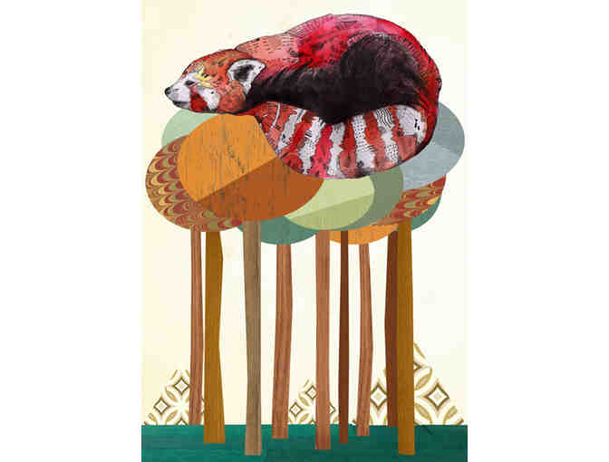 Sandra Dieckmann Red Panda Print