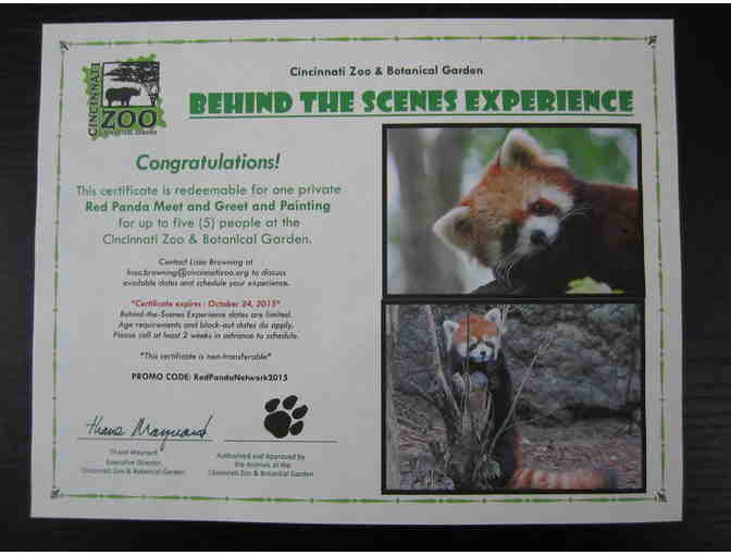 Red Panda 'Meet and Greet' at the Cincinnati Zoo