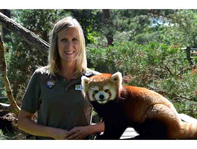 Toronto Zoo Red Panda VIP Experience