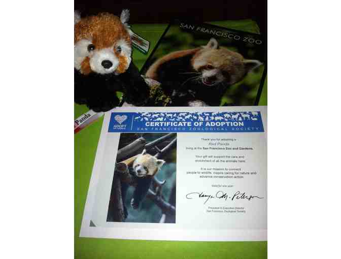 Red Panda Adoption Package Donated by the San Francisco Zoo