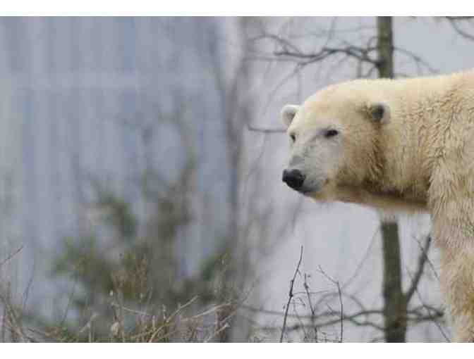 Behind the Scenes Tour at Rotterdam Zoo