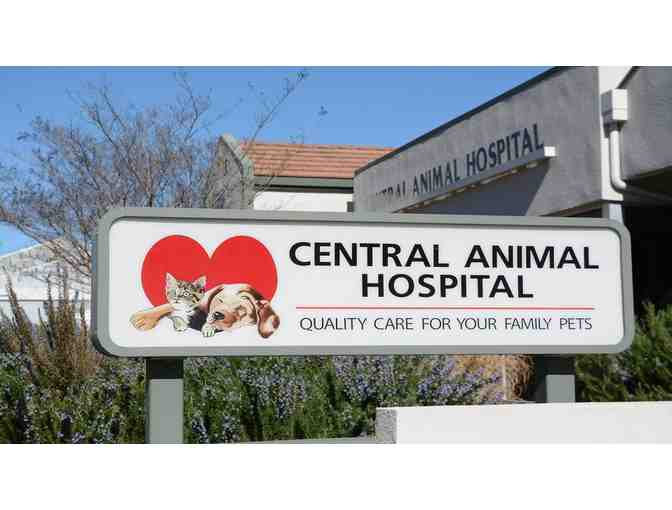 Be a Vet for a Day - Central Animal Hospital