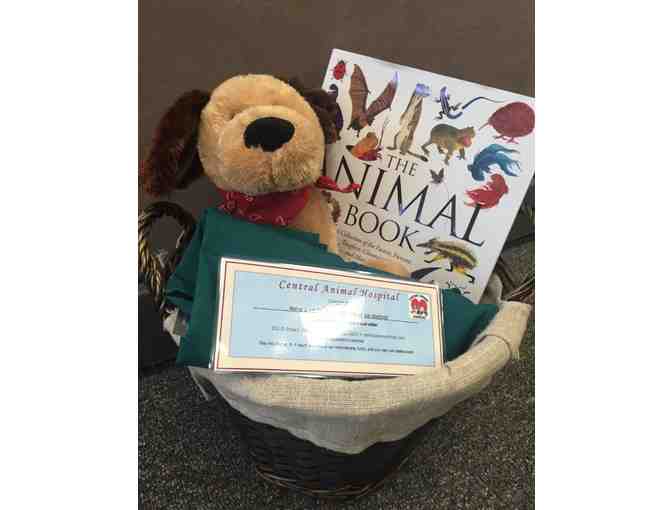 Be a Vet for a Day - Central Animal Hospital
