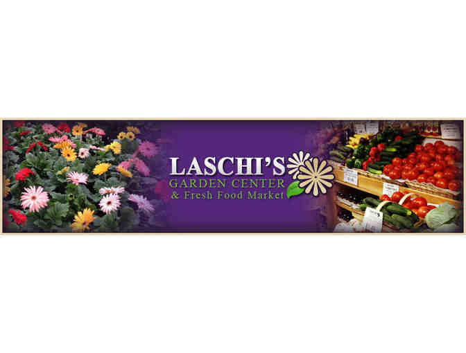 Laschi's Garden Center