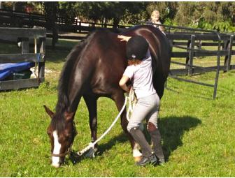 5 RIDING LESSONS FOR YOUR CHILD