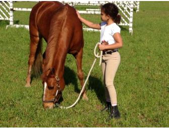 5 RIDING LESSONS FOR YOUR CHILD