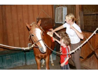 5 RIDING LESSONS FOR YOUR CHILD