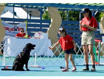 PORT CHESTER OBEDIENCE TRAINING CLUB