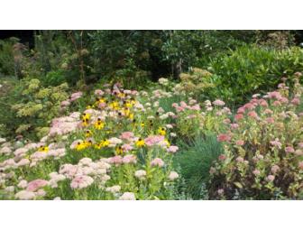 FREE GARDEN DESIGN CONSULTATION WITH SWEET EARTH