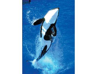 Sea World & Fiesta Texas San Antonio Package