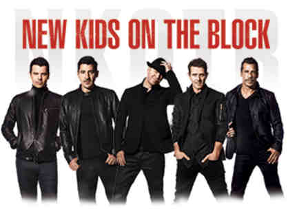 A 12 person Suite with Parking for the May 23rd Concert of New Kids on the Block