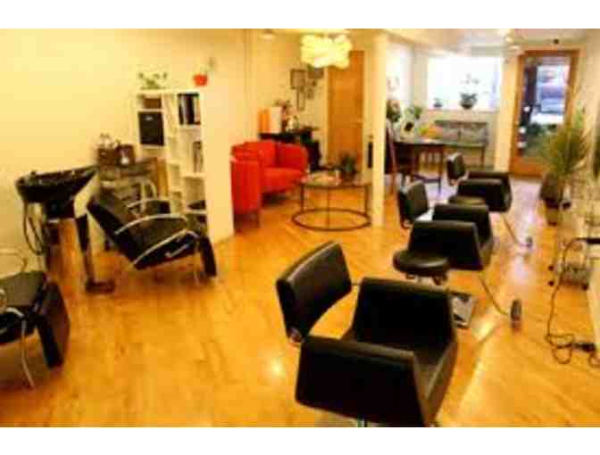 Sen Salon-Gift Certificate for One Adult Haircut