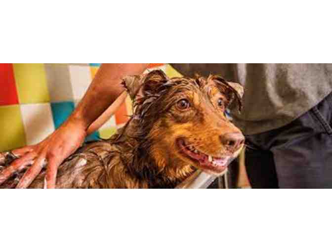 Unleashed - 1 Self Service Dog Wash