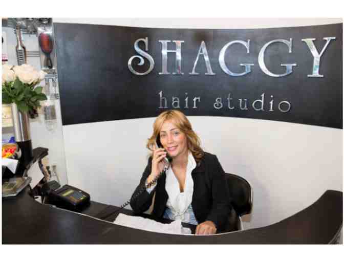 Shaggy's Hair Salon - $100 Gift Certificate