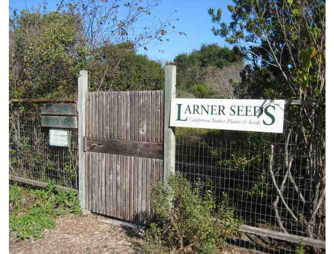 Feel the Buzz! A Tour of a Pollinator's Garden for 20 + Gifts, Plants and Books!