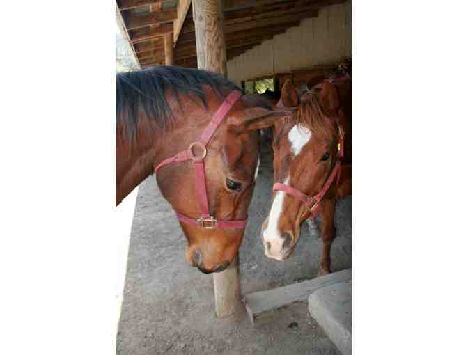 Five Brooks Ranch Horse Ride + Inn at Roundstone Farm + Marin Sun Farms for Two