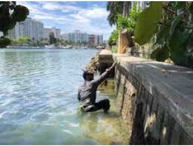 Residential Seawall Inspection - Dade County