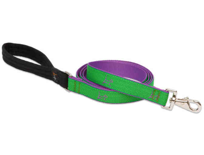 Lupine Augusta Green Large Dog Collar (12'-20') with matching 6' Lead