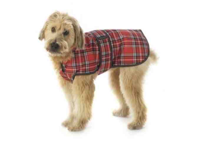 PetRageous Designs Insulated Waterproof Winter Dog Coat Size Small