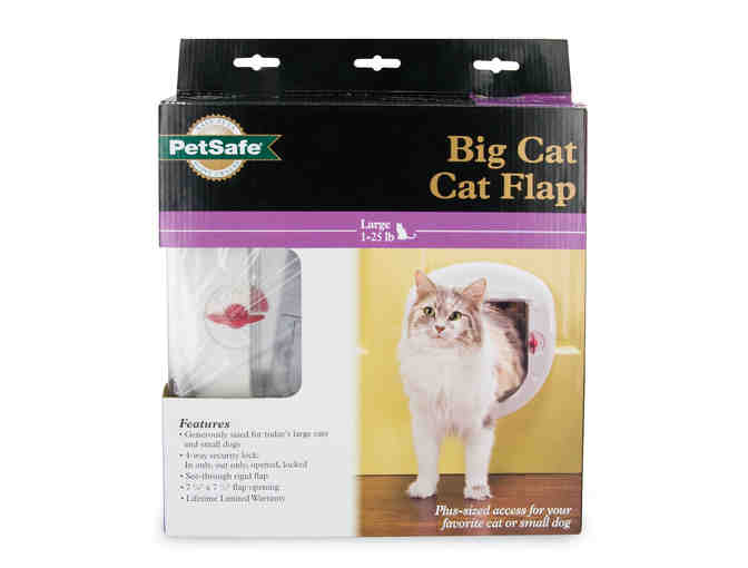 Pet Safe Big Cat Door